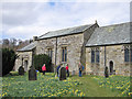 SE6797 : St Mary's in the daffodil season by Pauline E