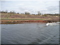 SJ7091 : Sandstone, the Manchester Ship Canal's north bank by Christine Johnstone