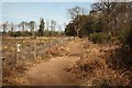 TL1948 : The Lodge RSPB reserve by Richard Croft