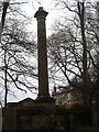 NZ1616 : The column in the grounds of Edlestone Hall by Stanley Howe