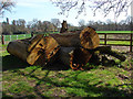 SU9470 : Log pile by Alan Hunt