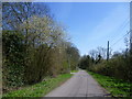 TQ8354 : Hollingbourne station approach by Marathon