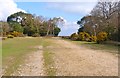 SZ2998 : Bridle Path near Shirley Holms Car Park by Mike Smith