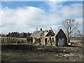 NT4559 : Ruined cottage beside B6368 by Trevor Littlewood