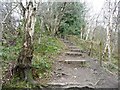 SJ8148 : Steps on the path to Perch Pool by Christine Johnstone