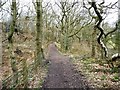 SJ8148 : Fenced path, Watermills Wood by Christine Johnstone