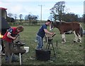 NT9334 : Farriers at the "Festival of the Heavy Horse" by Barbara Carr