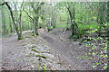 SU6991 : Bridleway to Cookley Green by Graham Horn