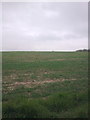 TM3769 : Fields off the entrance to Park Cottage by Geographer