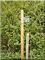 TM3688 : The Angles Way footpath sign by Geographer