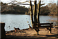 SK9469 : Hartsholme Lake by Richard Croft