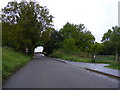 TM1337 : Lemons Hill & footpath to the A137 by Geographer