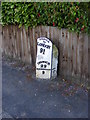 TM3865 : Milepost on the B1121 Main Road by Geographer