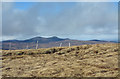 NH5274 : Old fence posts east of Meall Mòr by Trevor Littlewood