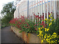 TQ3978 : Colourful weeds on the Thames Path by Stephen Craven