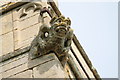 TF0639 : Gargoyle, St Denis' church, Aswarby by J.Hannan-Briggs