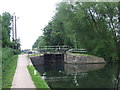 TL3703 : River Lea at Cheshunt Lock by Malc McDonald