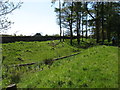 NZ0468 : The Hadrian's Wall Path beside the Ditch by David Purchase