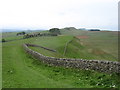 NY7969 : The Hadrian's Wall Path going west from Sewingshields by David Purchase