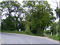 TM4279 : B1124 Halesworth Road & footpath to Church Farm by Geographer