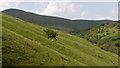 SD6997 : Valley of Backside Beck by Trevor Littlewood