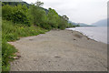  : Shores of Loch Lomond by David P Howard