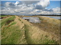 TQ9495 : Wallasea Island: Gardenness Point by Nigel Cox