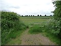 SK9124 : Field gate, south side of Woolsthorpe Road by Christine Johnstone