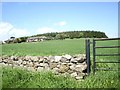 NO8792 : Rocklea Cottages and Copse by Stanley Howe