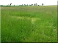 SK9118 : Large hay meadow by Christine Johnstone