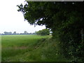 TM4682 : Footpath to Further Green Farm & Clay Common Lane by Geographer