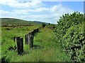 NX6068 : Loch Skerrow Halt by Mary and Angus Hogg