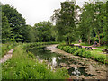 SK3155 : Cromford Canal, South of High Peak Junction by David Dixon