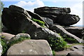 SE2064 : Rock outcrops, Brimham Rocks by Philip Halling