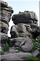 SE2064 : Rock outcrops, Brimham Rocks by Philip Halling