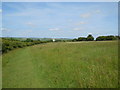 TQ2808 : Green Ridge, Westdean by Paul Gillett