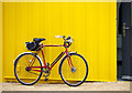 J5081 : Bicycle, Bangor by Rossographer