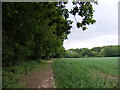 TM4079 : Scalesbrook Lane bridleway by Geographer