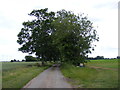 TM3684 : Entrance to Highland & Rookery Farms by Geographer