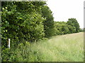 TM3783 : Footpath off the entrance of Rookery Farm by Geographer