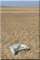 TA3803 : Flotsam on the beach by David Lally