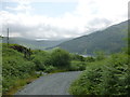 NX4180 : Track near Loch Trool by Alan O'Dowd