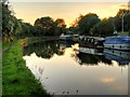 SP2266 : The Grand Union Canal at Hatton by David Dixon