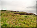 NZ4163 : Whitburn Coastal Park by David Dixon