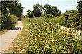 SK6731 : Grantham Canal by Richard Croft