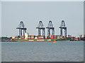 TM2832 : Container Ship MV Xin Chang Sha by Peter Pearson