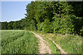 TL1308 : Path near Batchwood by Ian Capper