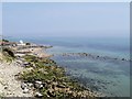 SZ5476 : View from the Coastal Path at Ventnor Botanic Garden by David Dixon