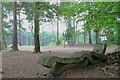 TQ1362 : Sculpted wooden bench on Esher Common by Hugh Craddock