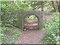 TM4770 : Stone bridge in Dunwich Wood by David Hillas